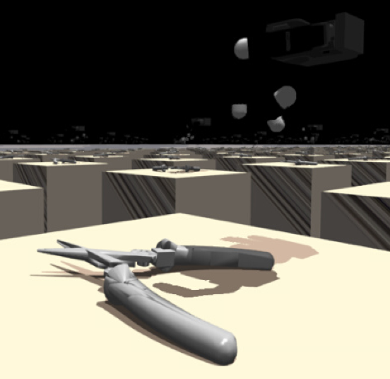 Dexterous Functional Grasping
